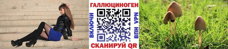 наркота  даркнет Telegram  Галлюциногенные грибы Psilocybine cubensis  Вуктыл 